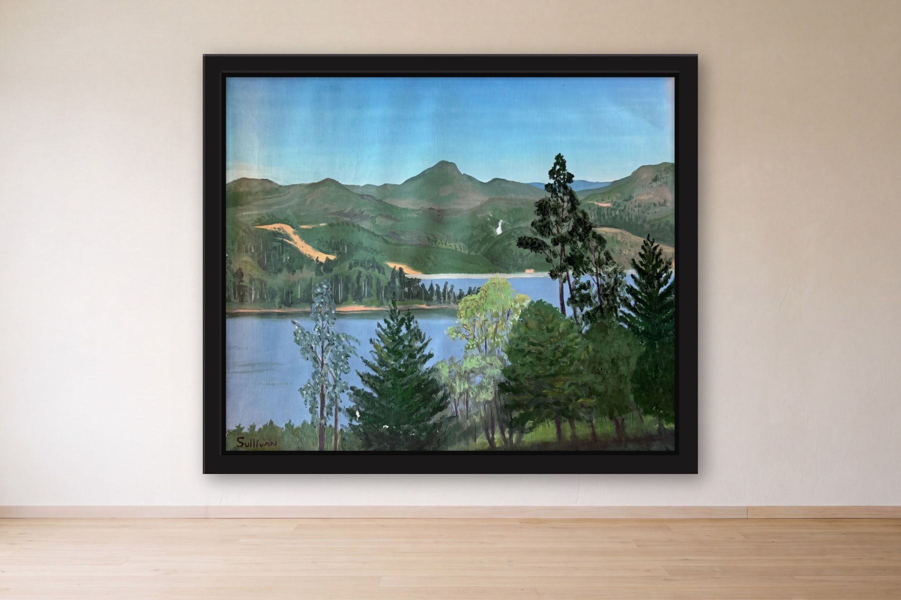 Medellin by Bill Sullivan, framed on a gallery wall